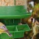 Safe, clean and healthy feeding stations for our wild birds