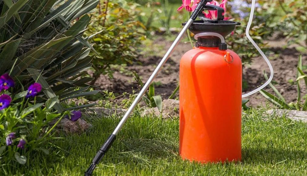 How to apply liquid lawn weed sprays for a better lawn