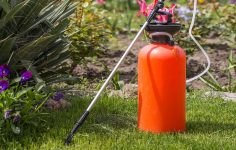 How to apply liquid lawn weed sprays for a better lawn