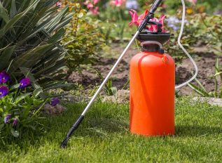 How to apply liquid lawn weed sprays for a better lawn