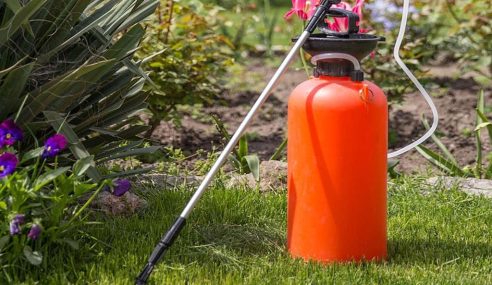 How to apply liquid lawn weed sprays for a better lawn