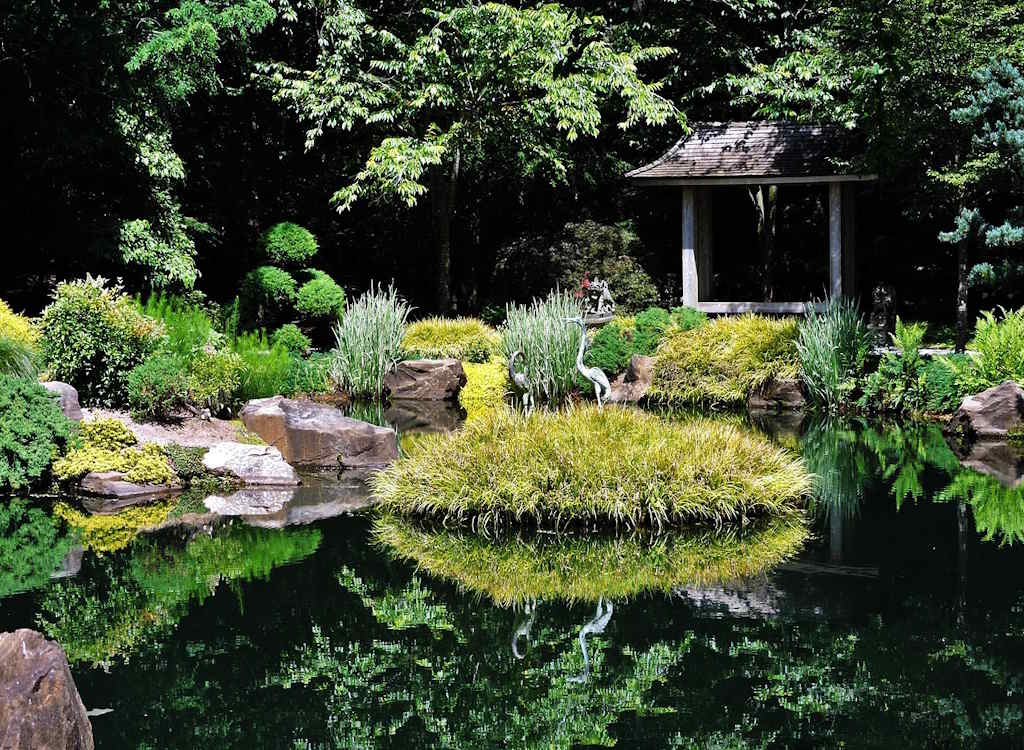 A garden in Japan with a pond.