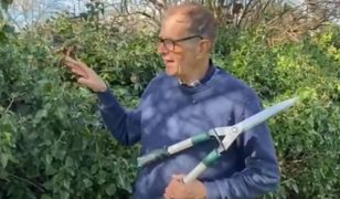 Ken Crowther demonstrates hand cutting ivy and yew hedges