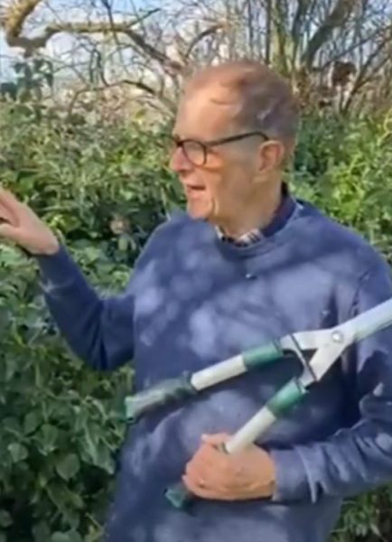Ken Crowther demonstrates hand cutting ivy and yew hedges