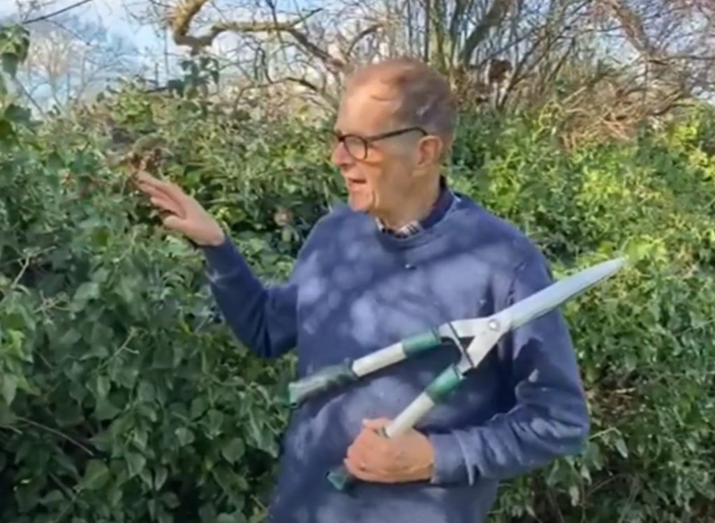 Ken cutting a hedge by hand.