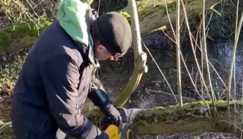 How to use a chainsaw for cutting trees in the garden