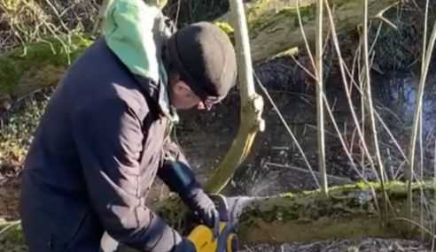 How to use a chainsaw for cutting trees in the garden