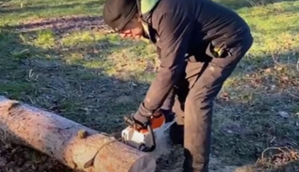 Stihl MSA 200 cordless chainsaw