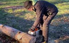 Stihl MSA 200 cordless chainsaw