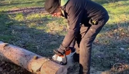 Stihl MSA 200 cordless chainsaw