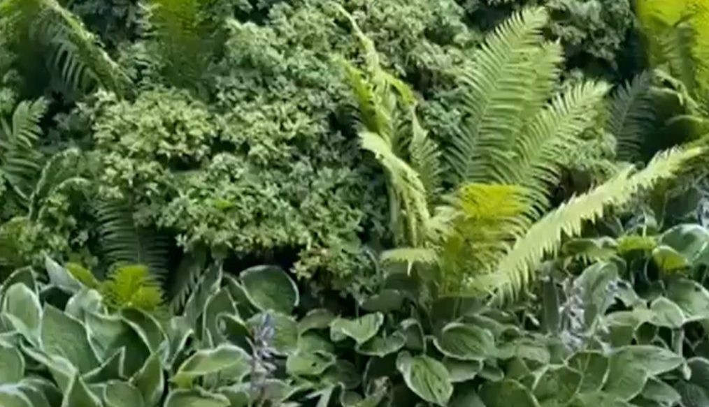 The Savill Garden in Windsor