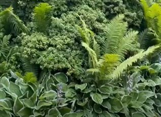 The Savill Garden in Windsor