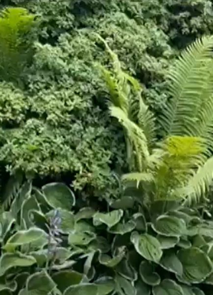 The Savill Garden in Windsor