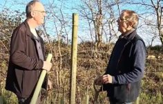 Local tree planting improves Essex countryside