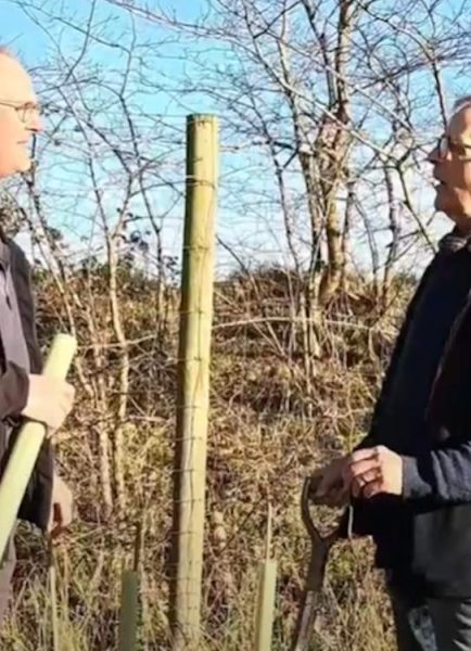 Local tree planting improves Essex countryside