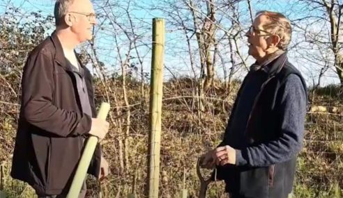 Local tree planting improves Essex countryside