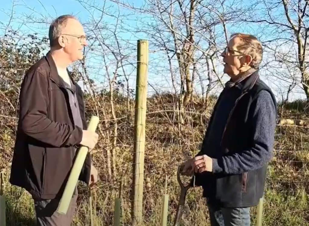 Local tree planting improves Essex countryside