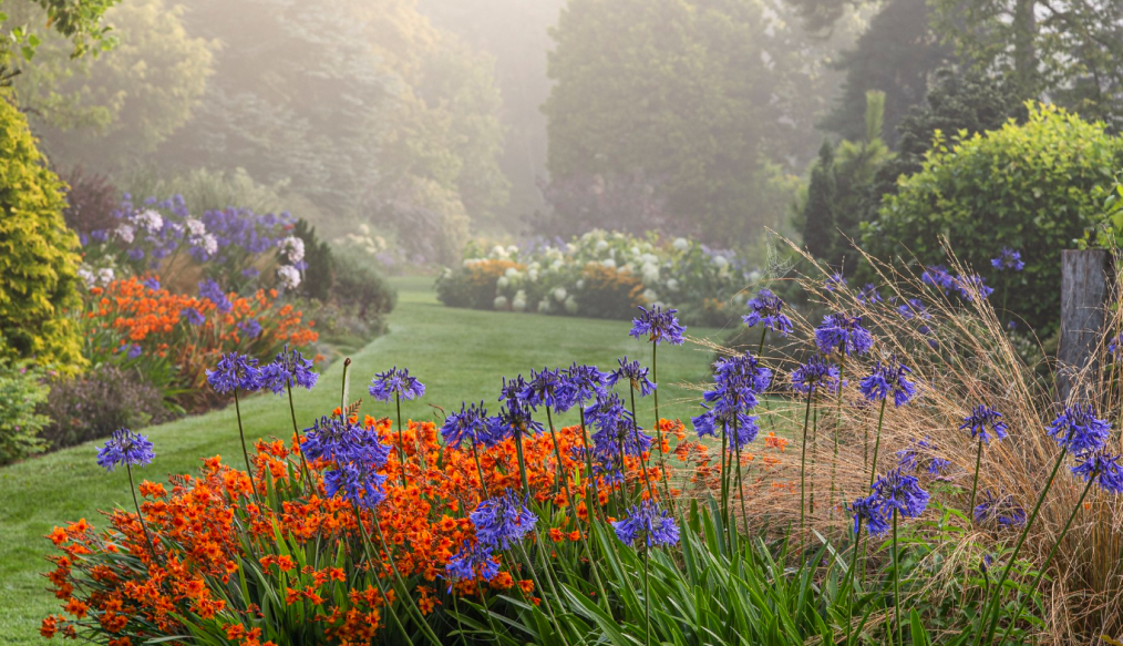 Foggy Bottom – A Garden To Share by Adrian Bloom