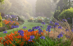 Foggy Bottom – A Garden To Share by Adrian Bloom