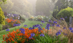 Foggy Bottom – A Garden To Share by Adrian Bloom