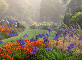 Foggy Bottom – A Garden To Share by Adrian Bloom