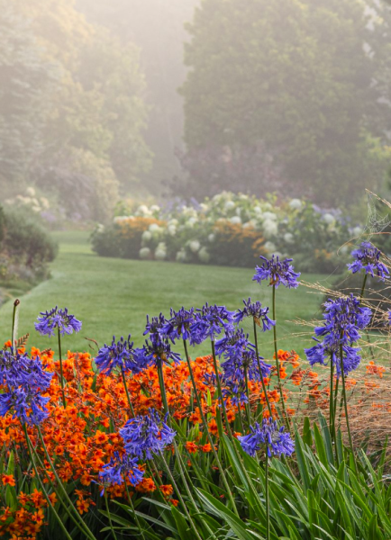 Foggy Bottom – A Garden To Share by Adrian Bloom