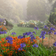 Foggy Bottom – A Garden To Share by Adrian Bloom