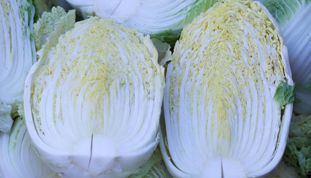 Vegetable plot – May