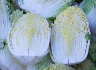 Vegetable plot – May