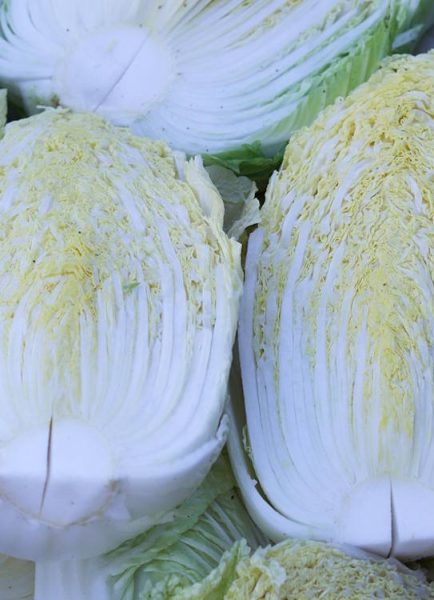 Vegetable plot – May