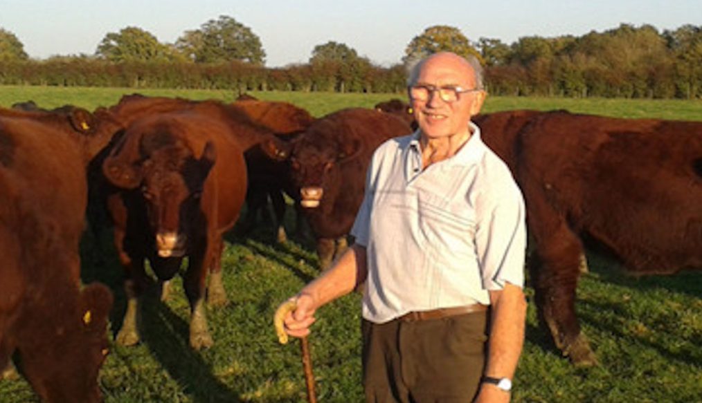 Norfolk beef production