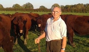Norfolk beef production