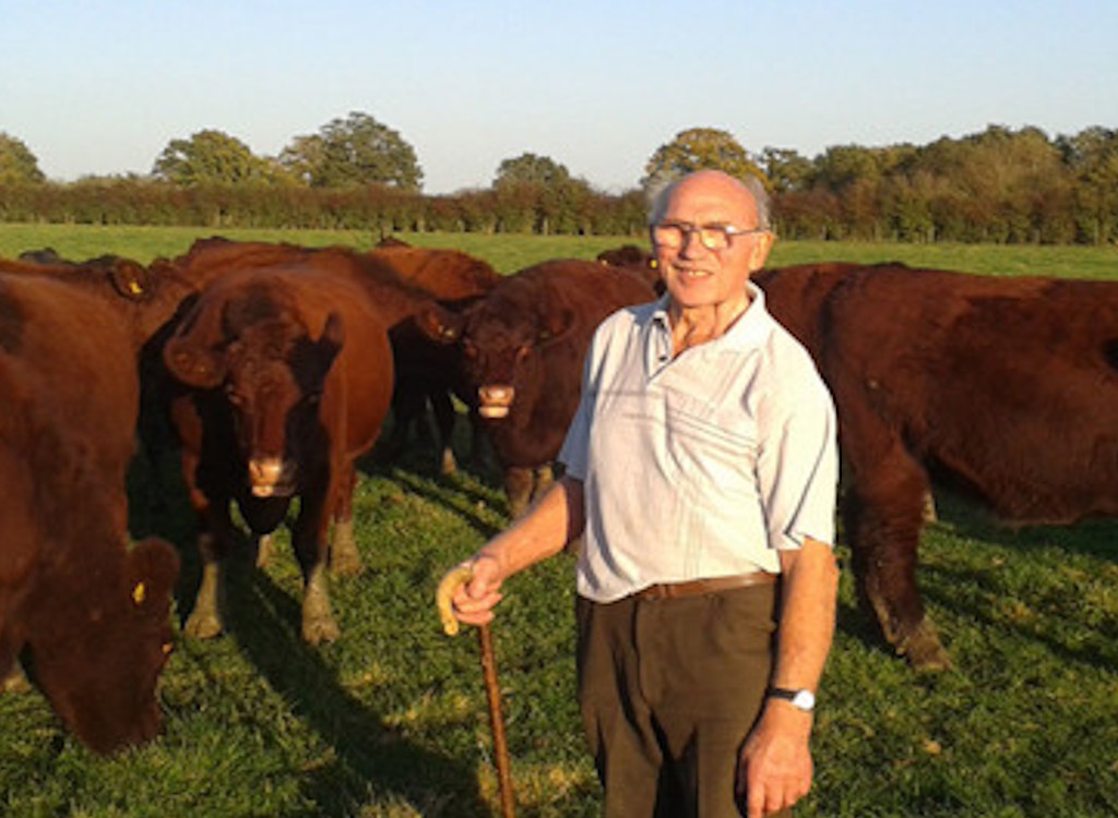 Eddie Winter with his Red Lincoln cattle in a field.