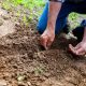 Maintaining soil fertility organically