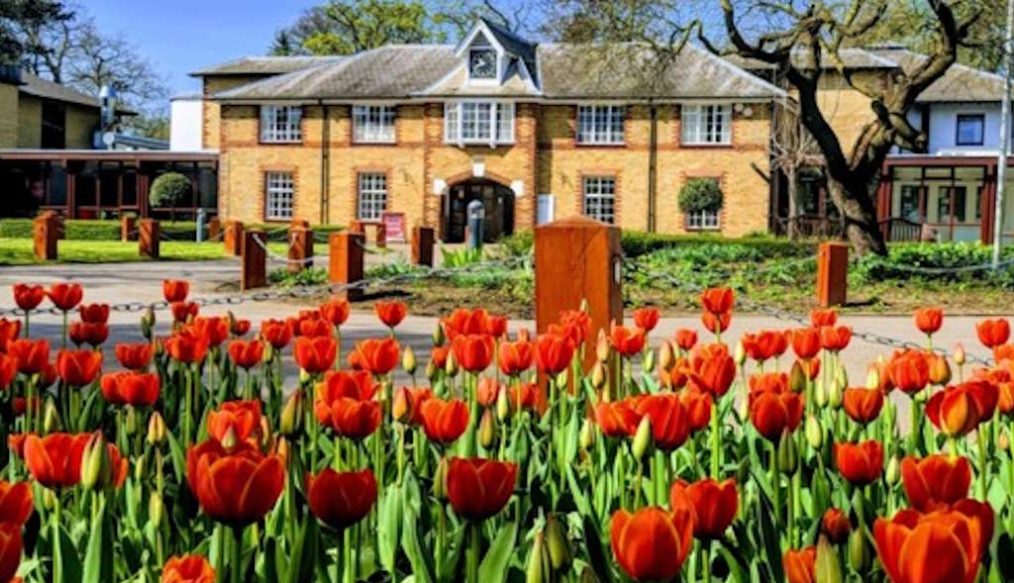 Gilwell Park – the home of Scouting