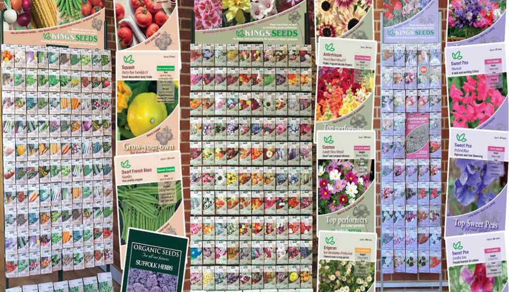 Vegetable plot – January