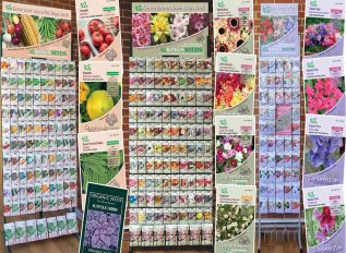 Vegetable plot – January