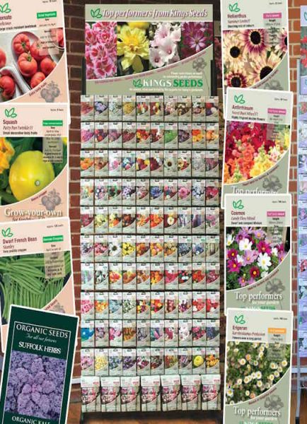 Vegetable plot – January