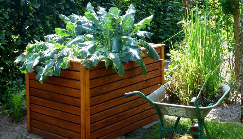 How to build raised beds