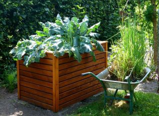 How to build raised beds