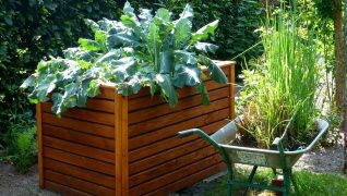 How to build raised beds