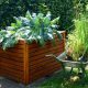 How to build raised beds