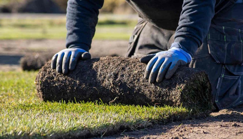 The inside track on turf and lawncare