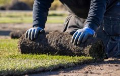 The inside track on turf and lawncare