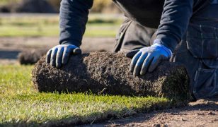 The inside track on turf and lawncare
