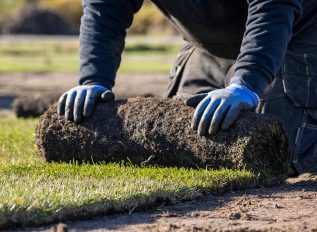 The inside track on turf and lawncare