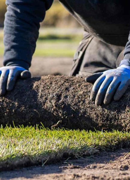 The inside track on turf and lawncare