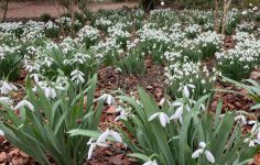 Anglesey Abbey in Cambridgeshire