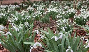 Anglesey Abbey in Cambridgeshire