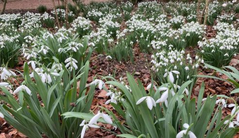 Anglesey Abbey in Cambridgeshire
